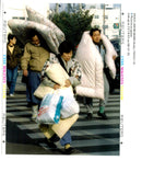 1995 ACAJ LEAF PICTURE DESK PROOFING PRINTER DATE TIME WRITER COUNTRY - Vintage Photograph