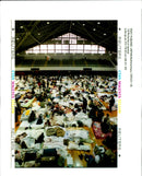 WRITER COUNTRY - Vintage Photograph