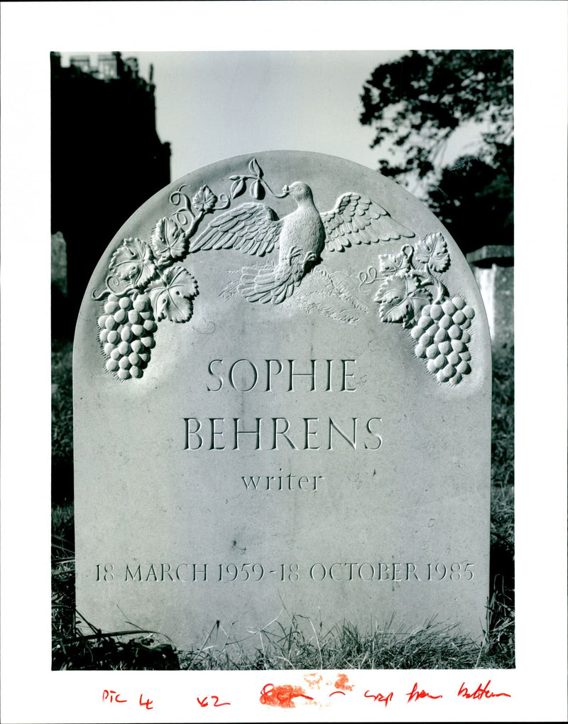 1959 SOPHIE BEHRENS WRITER MARCH OCTOBER PIC SEP HOM OLIVER RUTHER PUBLISHED - Vintage Photograph