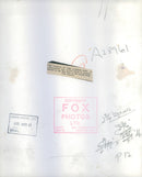 The cuscus at the London Zoo. - Vintage Photograph