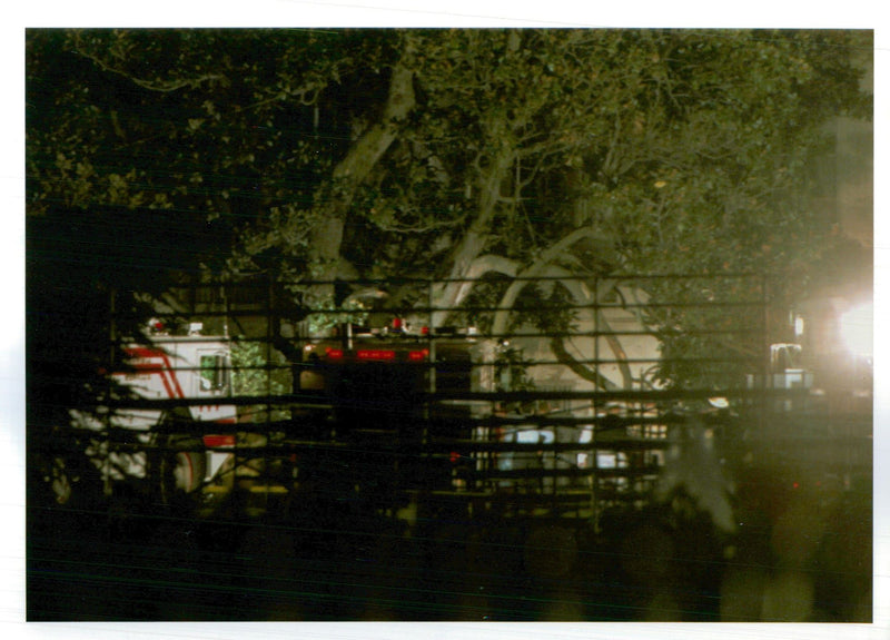 1994 PLANE CRASHES NEAR DOUG MILLS CLINTON WRITER USA PRESIDENT TITLE EARLY - Vintage Photograph