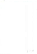 Israel: Iraqi Air Attacks - Vintage Photograph