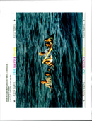 1994 WRITER COUNTRY - Vintage Photograph