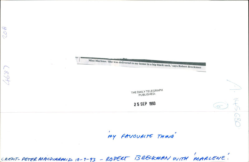 1993 SHE WAS DELIVERED PETER MACDIARMID ROBERT BRECKMAN MARLENE PUBLISHED - Vintage Photograph