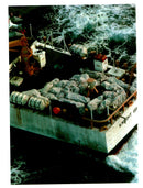 1996 THE CHARTERED BOEING WITH CARL JUSTE WHITE AIRCRAFT WRITER KNOWN FLIGHT - Vintage Photograph