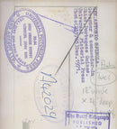 AntÃ³nio de SpÃ­nola - Vintage Photograph