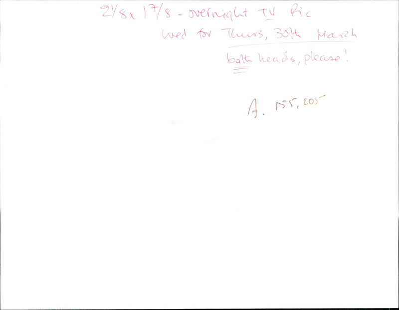 1987 THE NATURE BEAST STARS LYNTON DEARDEN AND PAUL SIMPSON MOVIE FILM - Vintage Photograph