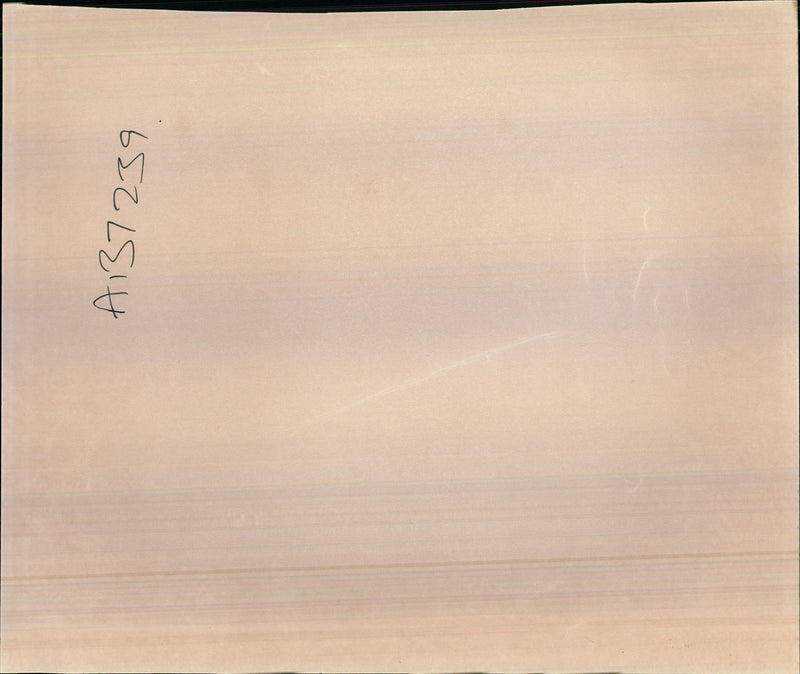 THE NAME CAMPAIGN IMPROVE QUALITY MUSIC - Vintage Photograph