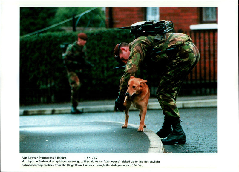 Mutley, the Girdwood army - Vintage Photograph