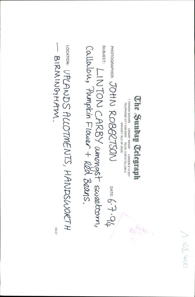 Allotments - Vintage Photograph