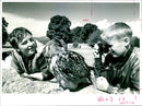 Daily Telegraph competition winner Dylan Jones aged 11 - Vintage Photograph