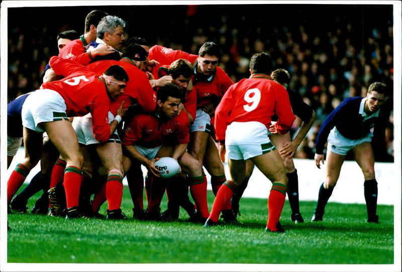 Wales v Scotland 5 Nations Rugby. Richard Webster - Vintage Photograph