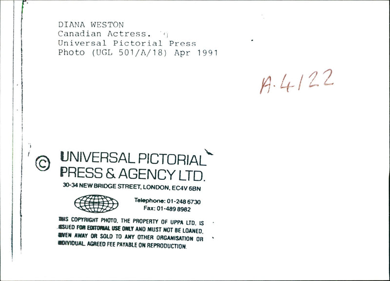 1991 DIANA WESTON CANADIAN ACTRESS UNIVERSAL PICTORIAL PRESS PHOTO UGL APR - Vintage Photograph