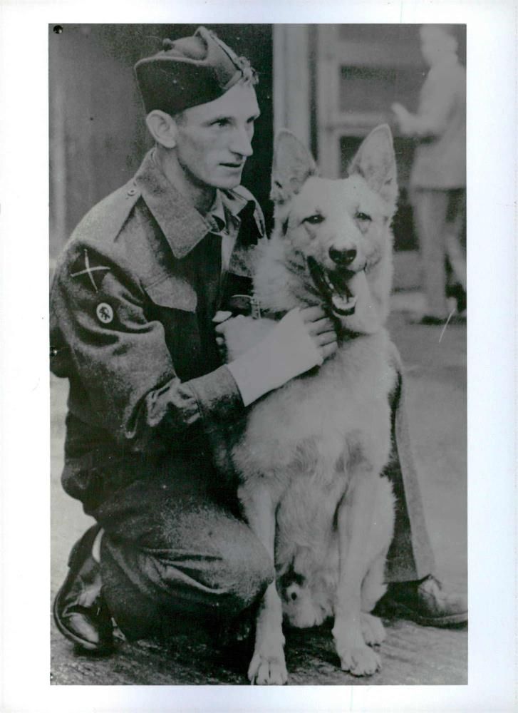 Heroes Animal - Vintage Photograph