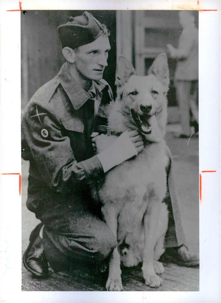 Heroes Animal - Vintage Photograph