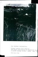 Peak National Park - Vintage Photograph