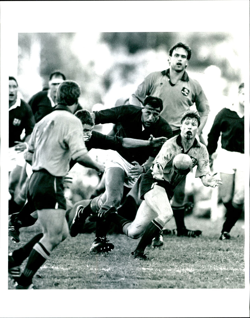Rugby: British Lions Tour '89 - Vintage Photograph