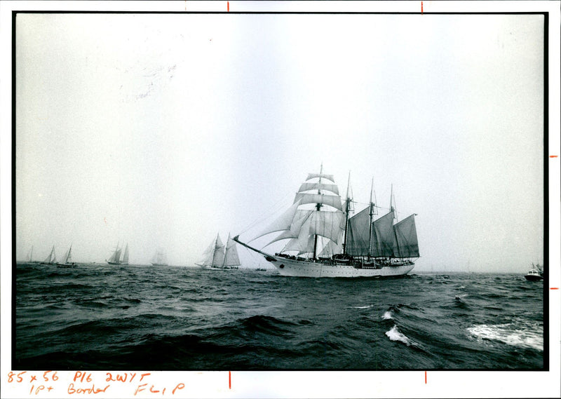 Tall Ships Race - Vintage Photograph