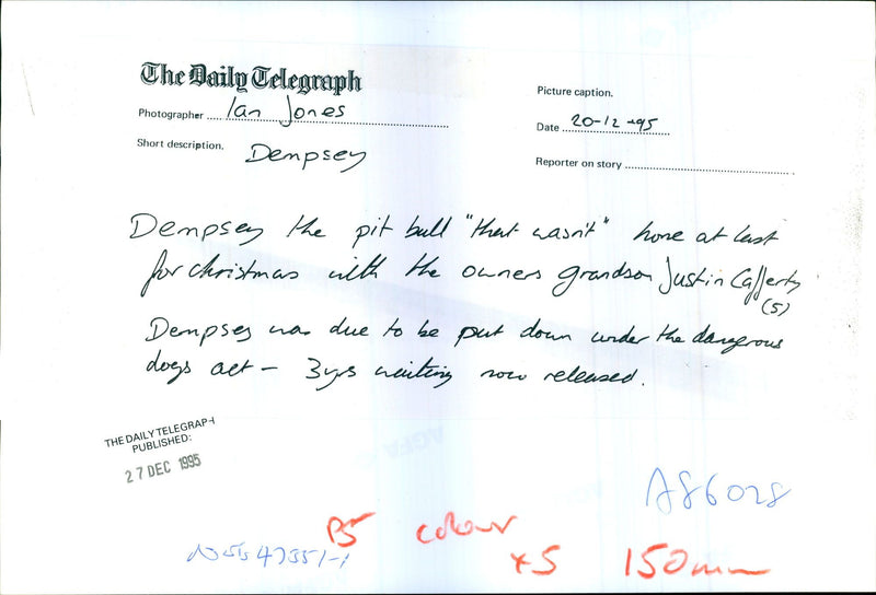 Dianne Fannern: Dog: Dempsey - Vintage Photograph