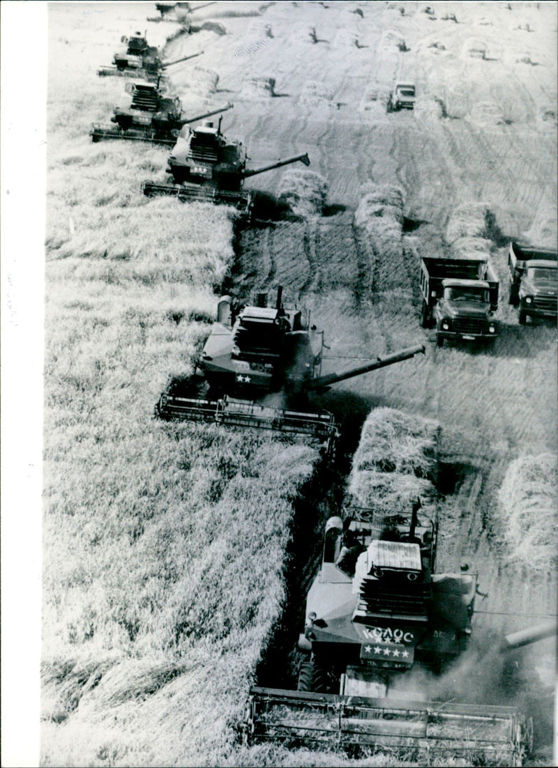 Russia: Harvest Time In Bashkir - Vintage Photograph