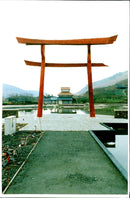 1992 THE FILM WAS SHOT EBBW VALE GARDEN FESTIVAL SITE JAY WILLIAMS BUILT - Vintage Photograph