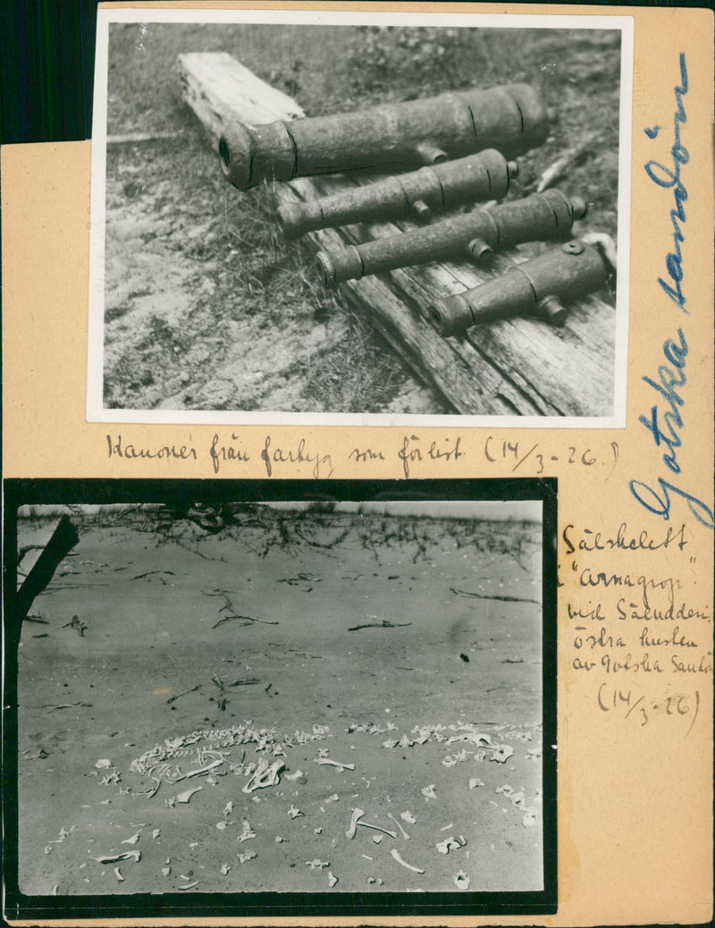 Gotska Sandön national park findings - Vintage Photograph