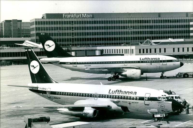 Lufthansa - Vintage Photograph