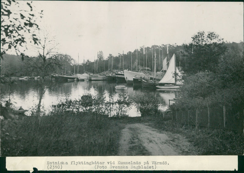 Refugees in Sweden until 1944 - Vintage Photograph