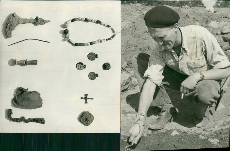 Amanuens Per Lundström carefully scrapes the surface layer of a tomb plant (on the right) - Vintage Photograph