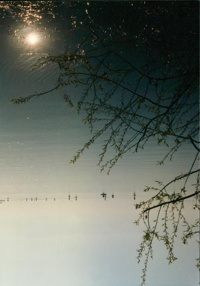 Quonghai Lake - Vintage Photograph