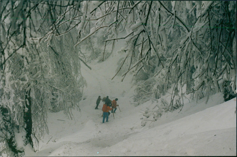 The beautiful ermet mountain in snow. - Vintage Photograph