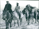 Agriculture in China - Mounted herdsmen lead heavily-laden pack animals Bactrian camels - Vintage Photograph