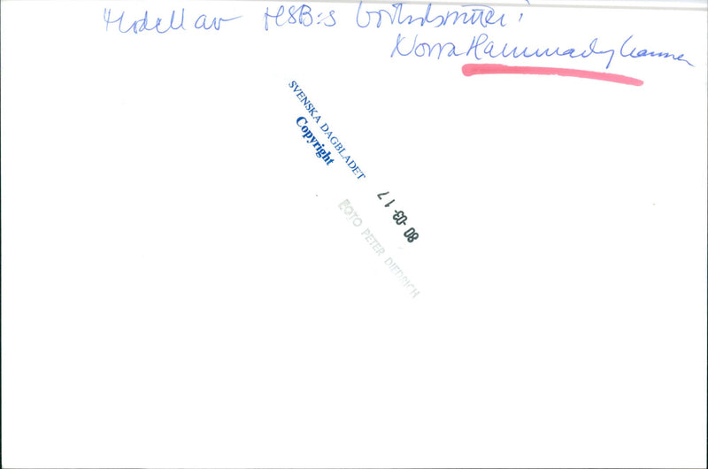 Miniature Model in Hammarby - Vintage Photograph