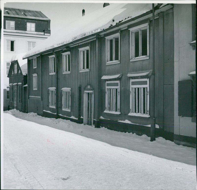 Broad street on the animal farm - Vintage Photograph