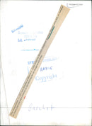 1967 BEH TRUMPET LANDSCAPE FASCHET BASCHETS NAGULADET ONLY PICTURES OUT ITS LAR - Vintage Photograph