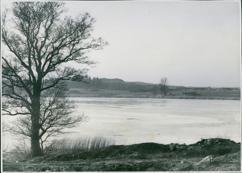 LillsjÃ¶n, Bromma - Vintage Photograph