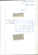 Gustaf VI Adolf writes his signature in the guestbook - Vintage Photograph