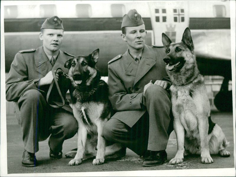 The Swedish Suez Troop. - Vintage Photograph