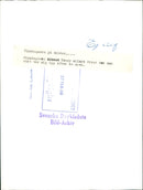 Parliamentary men on skis - Vintage Photograph