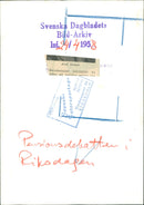 Parliamentary men on skis - Vintage Photograph