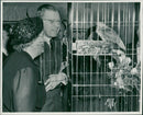 The king couple visited the bird show in Ostermans - the talking and whispering parrot "Jacob" attracted the king's interest - Vintage Photograph