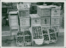 The Vegetables in Square - Vintage Photograph
