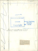 Student celebration on graduation day at the State Normal School - Vintage Photograph