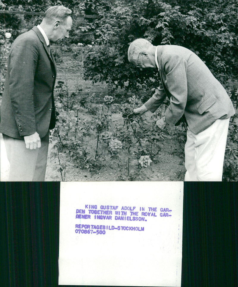 KING GUSTAF ADOLF IN THE GARDEN TOGETHER WITH THE ROYAL GARDENER INGVAR DANIELSSON. - Vintage Photograph