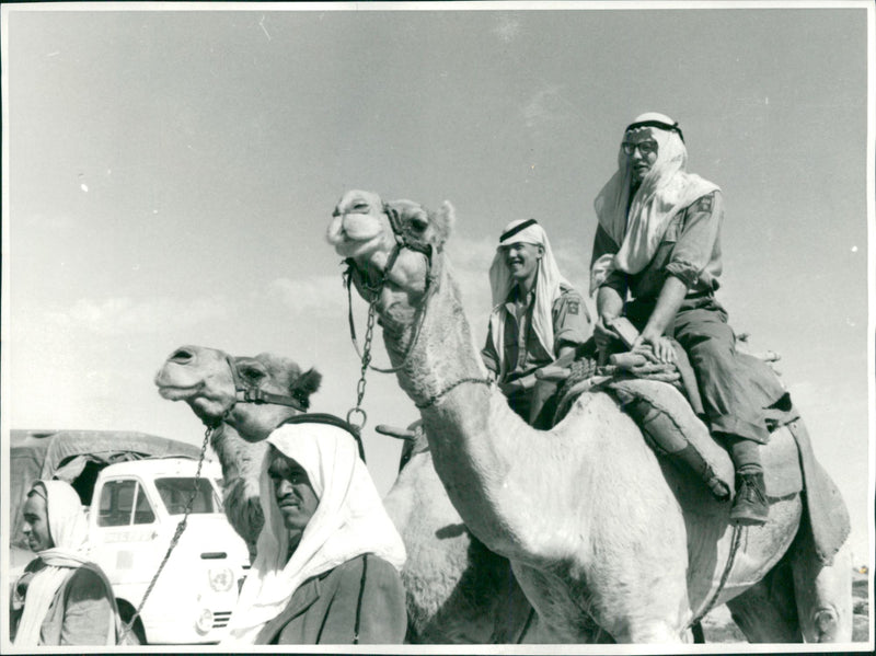 Military - Vintage Photograph