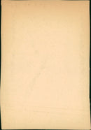 Prince Gustaf Adolf, Duke of Vasterbotten - Vintage Photograph