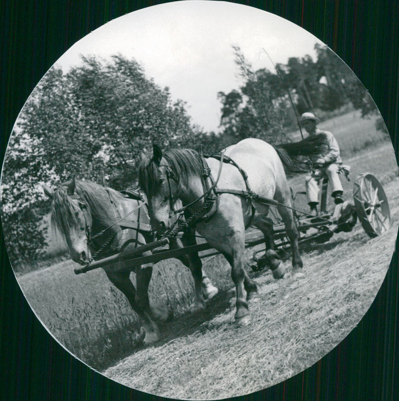 Swedish villagers - Vintage Photograph