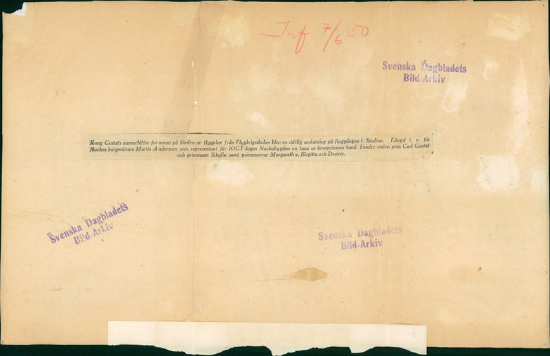 Swedish Flag Day - Vintage Photograph