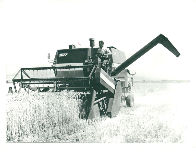 Agriculture: Harvesting with Combine harvester - Vintage Photograph