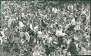 Pop fans gathered during 'The Stones In The Park' music festival - Vintage Photograph